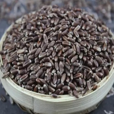 Black Wheat Organic1