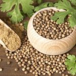 Organic Dhaniya