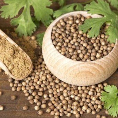 Organic Dhaniya