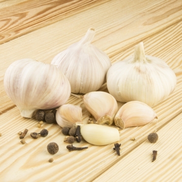 Organic Garlic