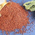 Organic Ragi